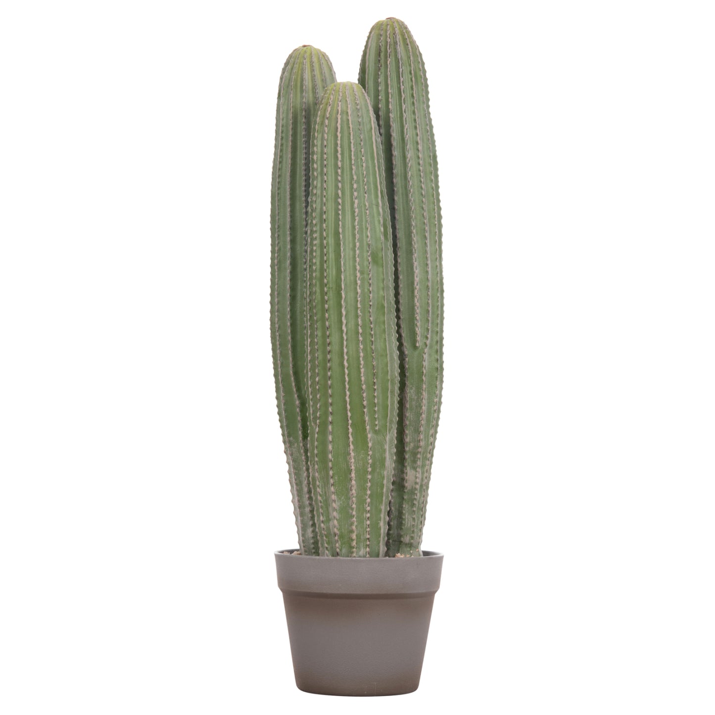 DECORATIVE ARTIFICIAL CACTUS PLANT WITH POT F16x62