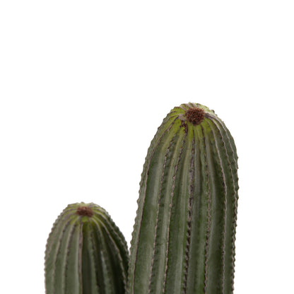 DECORATIVE ARTIFICIAL CACTUS PLANT WITH POT Ø17.5x105