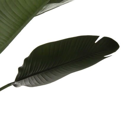 DECORATIVE ARTIFICIAL STRELITZIA PLANT IN POT F17x14.5-137