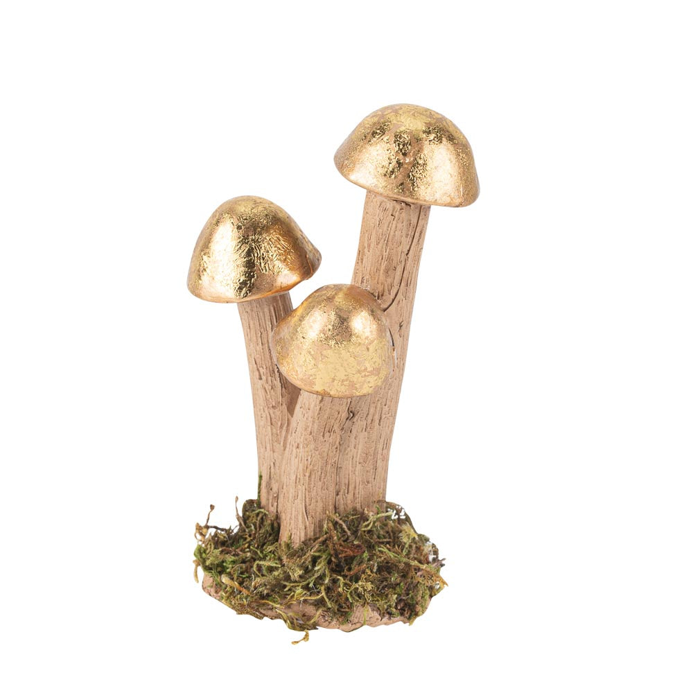 Μανιτάρια 7x7x11