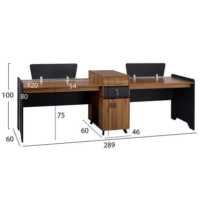PROFESSIONAL SUPREME WORKSTATION FOR 2 PEOPLE 289x60x100