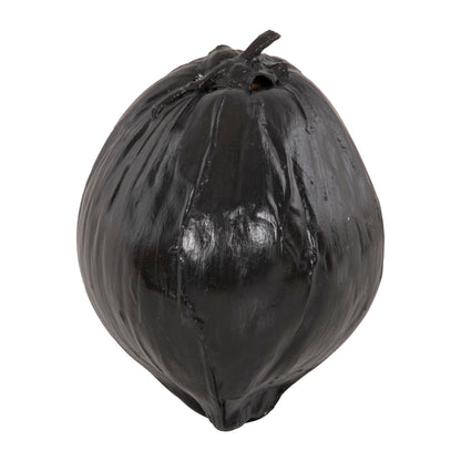DECORATIVE TABLETOP COCONUT IN BLACK COLOR 20x20x20