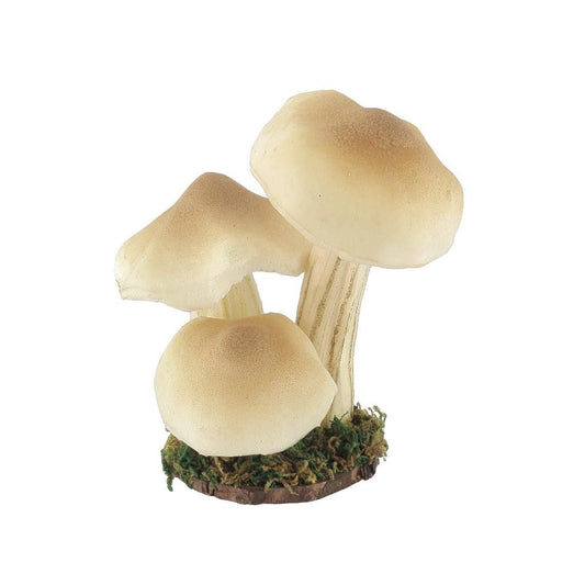 3 Μανιτάρια σε Βάση με Βρύα 7x7x14