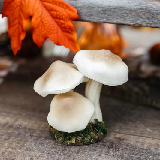 3 Μανιτάρια σε Βάση με Βρύα 7x7x14