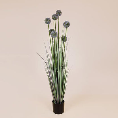 ΦΥΤΟ ΓΡΑΣΙΔΙ ΑΛΛΙΟ ΣΕ ΓΛΑΣΤΡΑ ΠΛΑΣΤΙΚΟ 140εκ