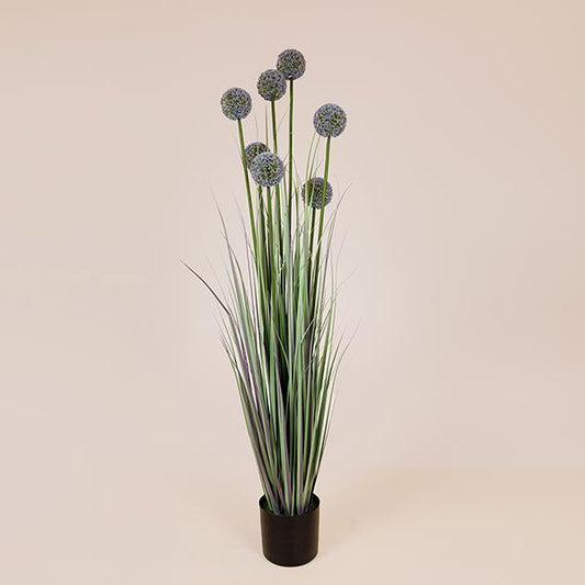 ΦΥΤΟ ΓΡΑΣΙΔΙ ΑΛΛΙΟ ΣΕ ΓΛΑΣΤΡΑ ΠΛΑΣΤΙΚΟ 140εκ