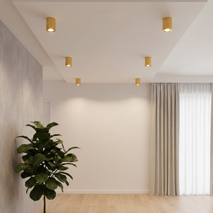 AKIRA KLV-101-0027 Κινούμενο Φωτιστικό Downlight Σποτ για Λάμπα MR16 με Ντουί GU10 AC 220-240V IP20 - Χρυσό Βούρτσας - Μ8 x Π8 x Υ10