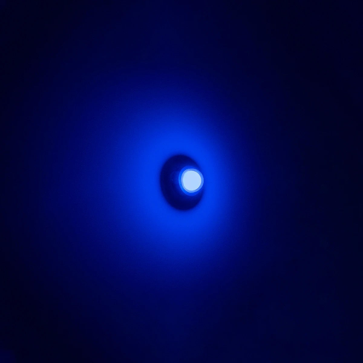 NEXA KLV-101-0249 Φωτιστικό Τοίχου / Απλίκα LED 6W 360lm 180° AC 220-240V Αδιάβροχο IP65 Μπλε - Sanan SMD Chip & TÜV SÜD Driver - Μαύρο Ματ - Μ11 x Π8.5 x Υ11