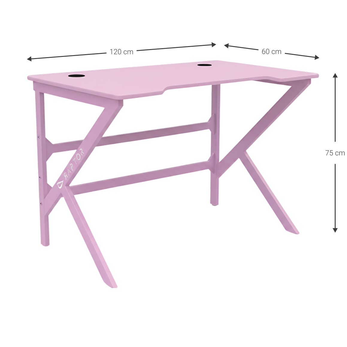 Gaming Desk Raptor Crimson Pink 120x60x75
