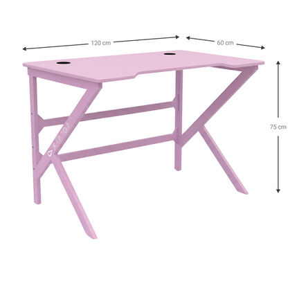 Gaming Desk Raptor Crimson Pink 120x60x75