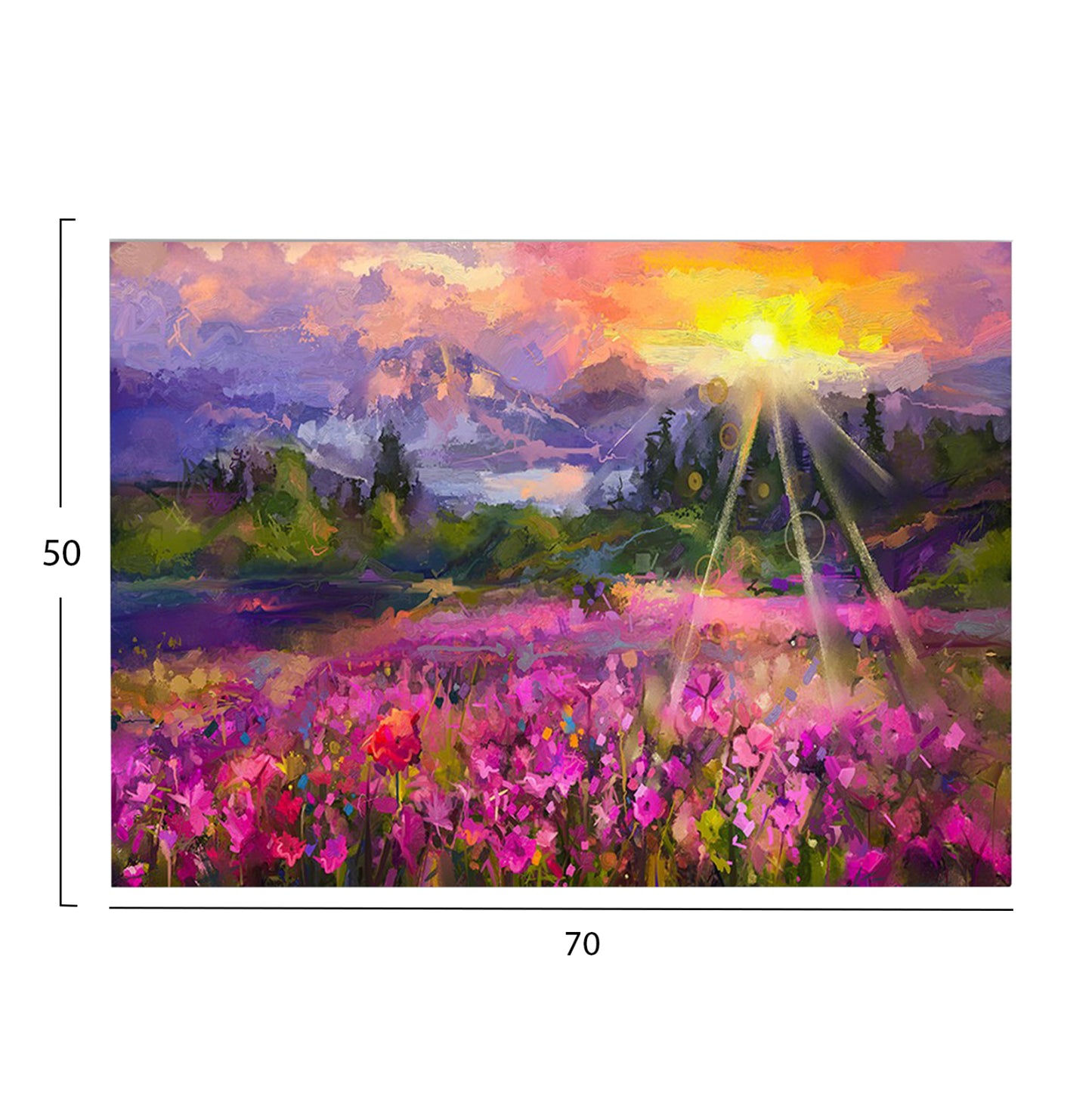 ΠΙΝΑΚΑΣ TOIXOY GOBI ΕΚΤΥΠΩΜΕΝΟΣ ΚΑΜΒΑΣ 70x3x50