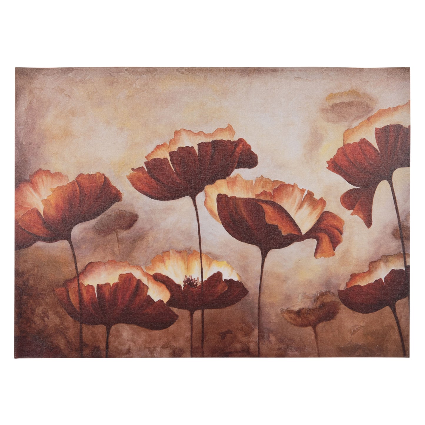 ΠΙΝΑΚΑΣ TOIXOY GOBI ΕΚΤΥΠΩΜΕΝΟΣ ΚΑΜΒΑΣ 68x2,5x50