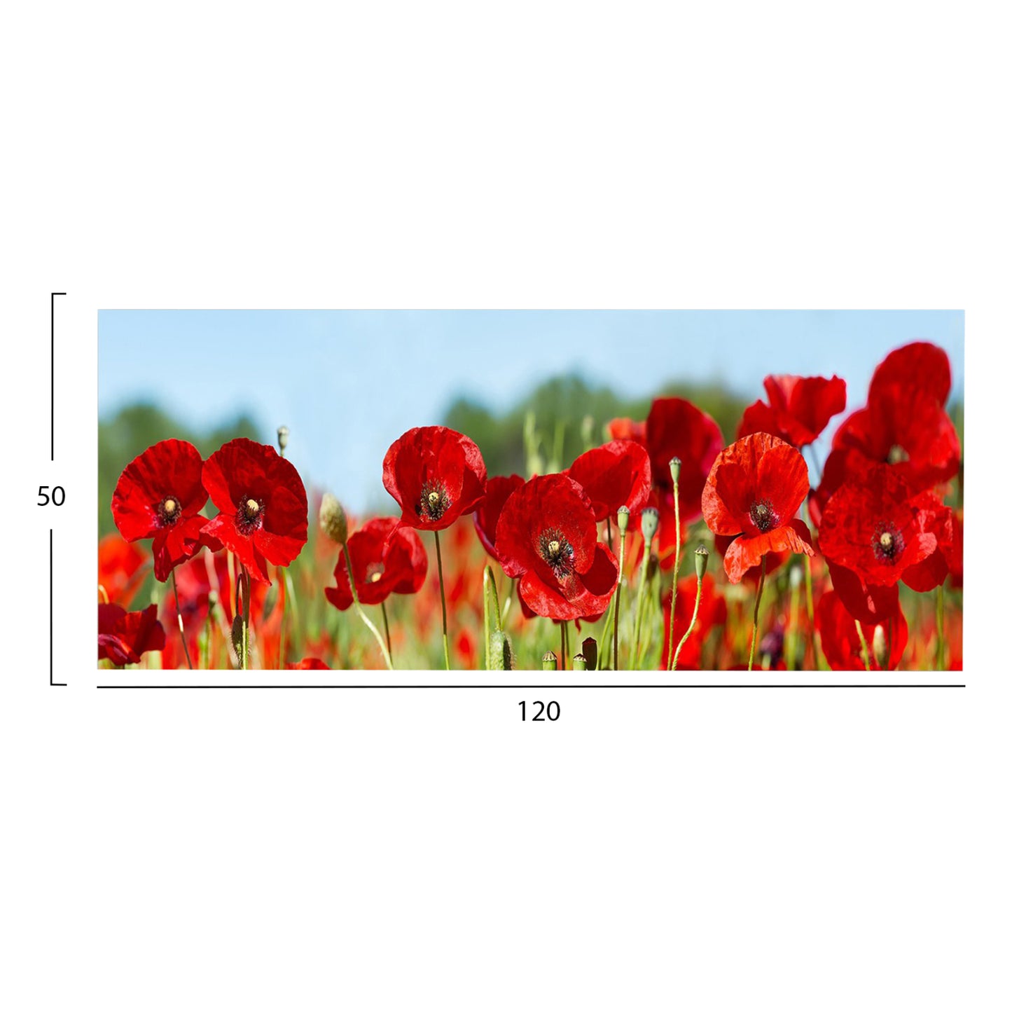 ΠΙΝΑΚΑΣ TOIXOY GOBI ΕΚΤΥΠΩΜΕΝΟΣ ΚΑΜΒΑΣ 120x3x50