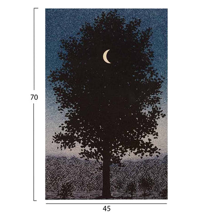 ΠΙΝΑΚΑΣ TOIXOY GOBI ΕΚΤΥΠΩΜΕΝΟΣ ΚΑΜΒΑΣ 45x3x70