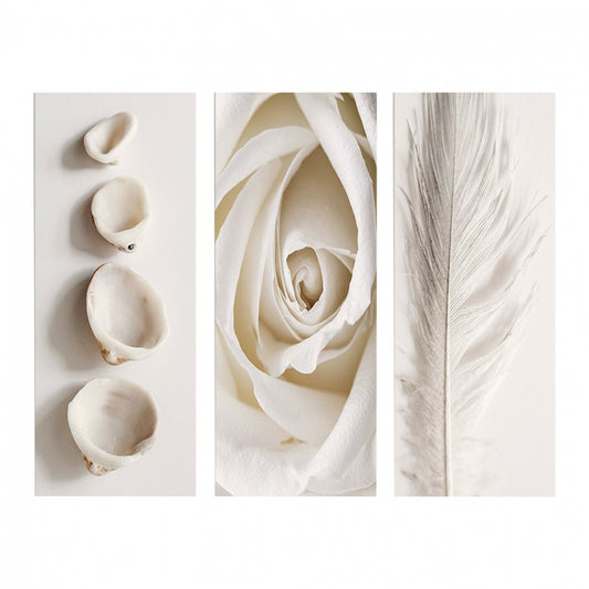 ΠΙΝΑΚΑΣ ΤΡΙΠΤΥΧΟ MDF NATURAL ELEMENTS 60x0,3x50
