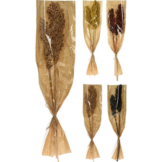 Φύλλα Αποξηραμένα Indian Corn Δεμένα Σε Χάρτινη Θήκη Σε 4 Ποικιλίες